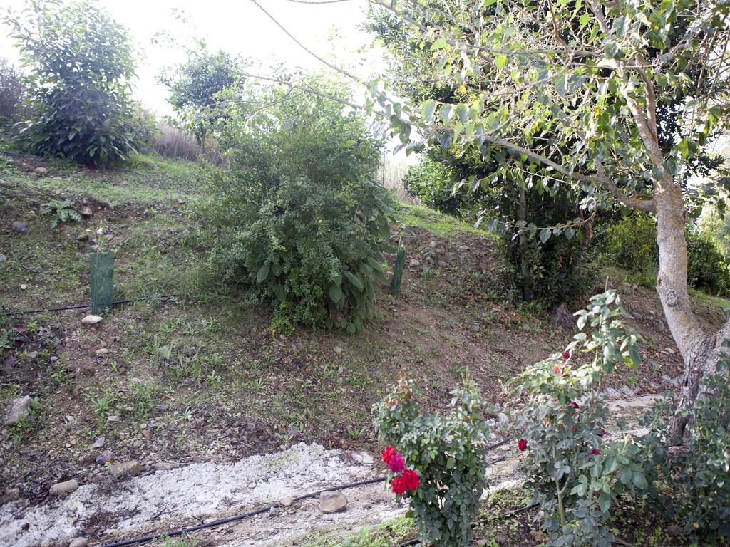 Casa Rural Vega El Dorado San Pablo Esterno foto